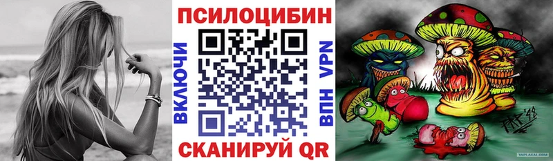 Галлюциногенные грибы мицелий  Купить где  Оха 